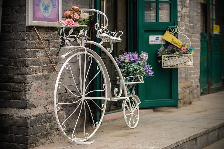 自行车与鲜花.jpg