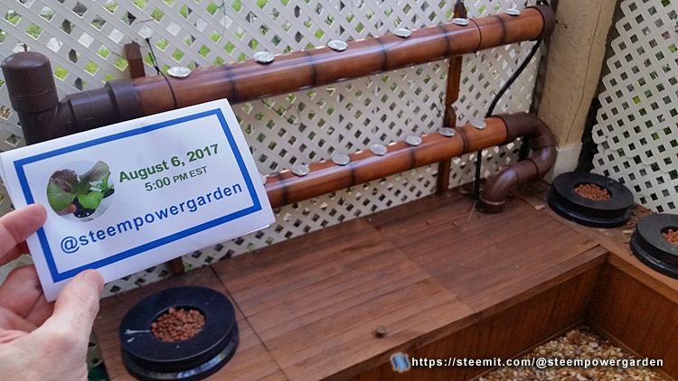 Front-Hydrogarden-7-SteemPowerGarden.jpg