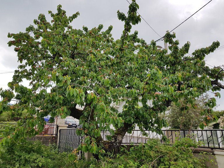 20180509_155519.jpg