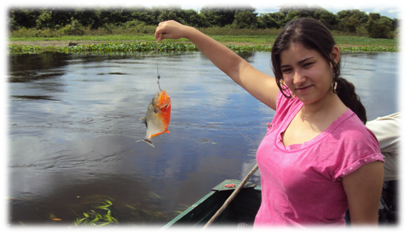 Aine en Pesca de Caribe, Piraña de Rio