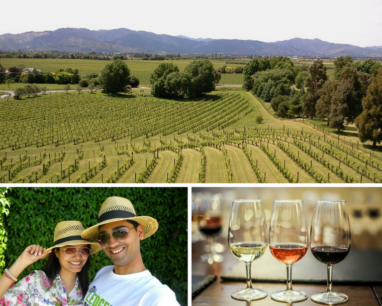 new-zealand-marlborough wine-region-girlinchief.png