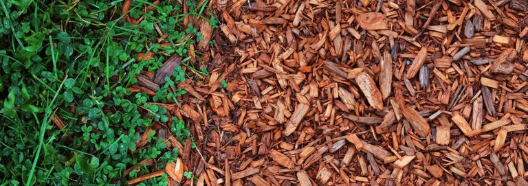 Grass-mulch-GettyImages-184592833-588105445f9b58bdb3a23595.jpg