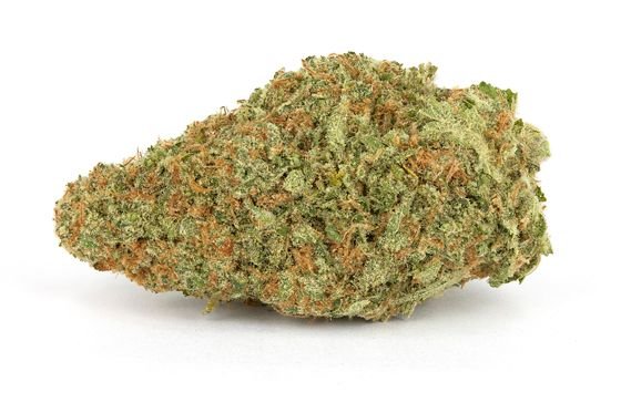 durban-poison-72.jpg