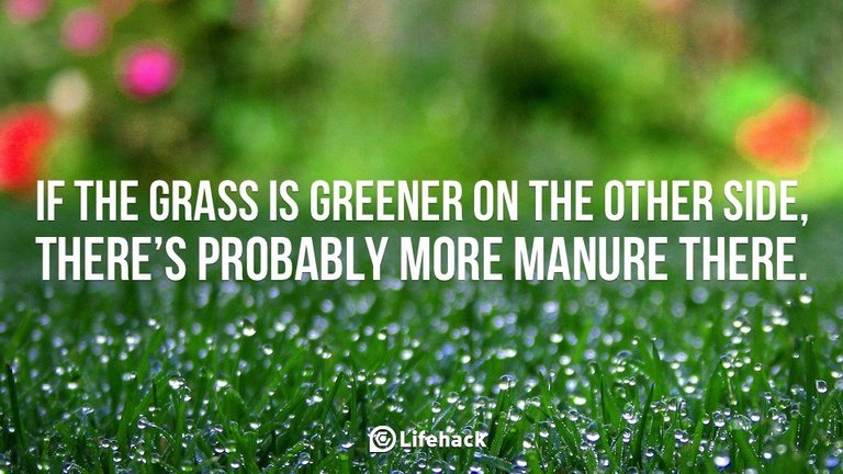 If-the-grass-is-greener-on-the-other-side-there-is-probably-more-manure-there..jpg