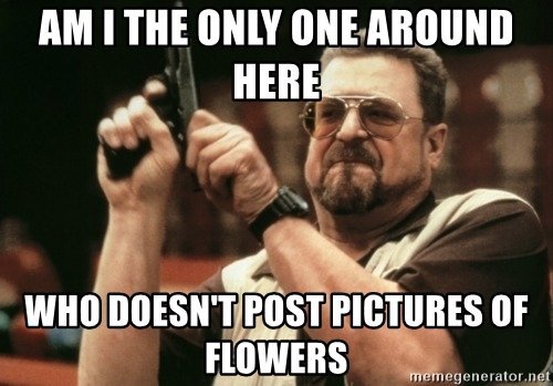 am-i-the-only-one-around-here-who-doesnt-post-pictures-of-flowers.jpg