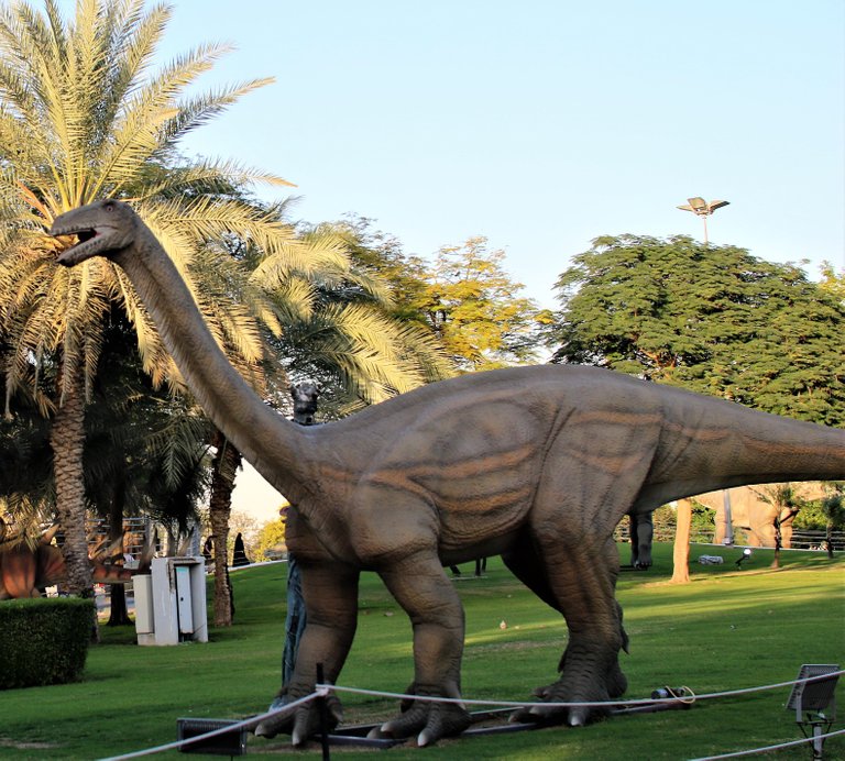 dinosaur tall.jpg