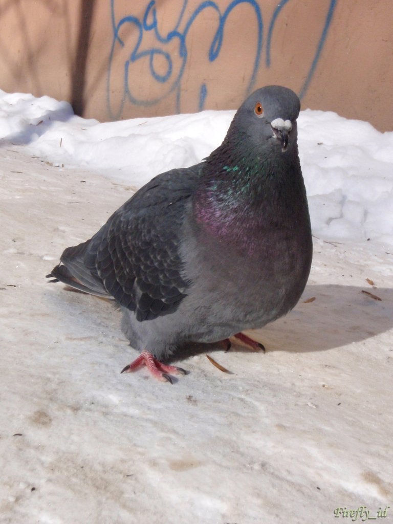 06.jpg