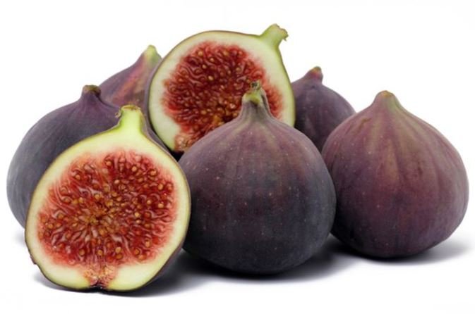 figs.JPG