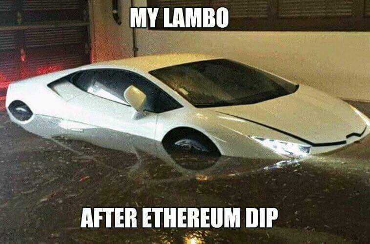 Lambo meme.jpg