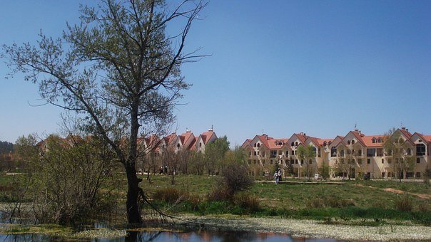 ifrane 1.jpg