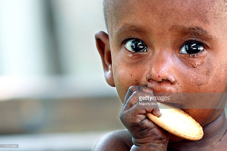 world-children-week-a-hungry-child-eating-a-biscuit-from-a-donor-picture-id170479864.jpg