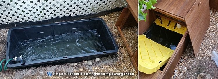 Front-Hydrogarden-4-SteemPowerGarden.jpg