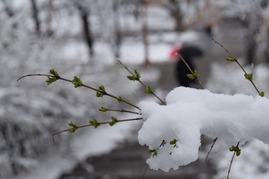 DSC_0696.JPG