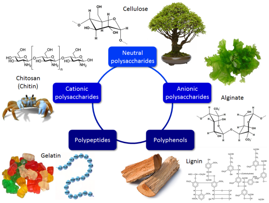 biopolymers1.png