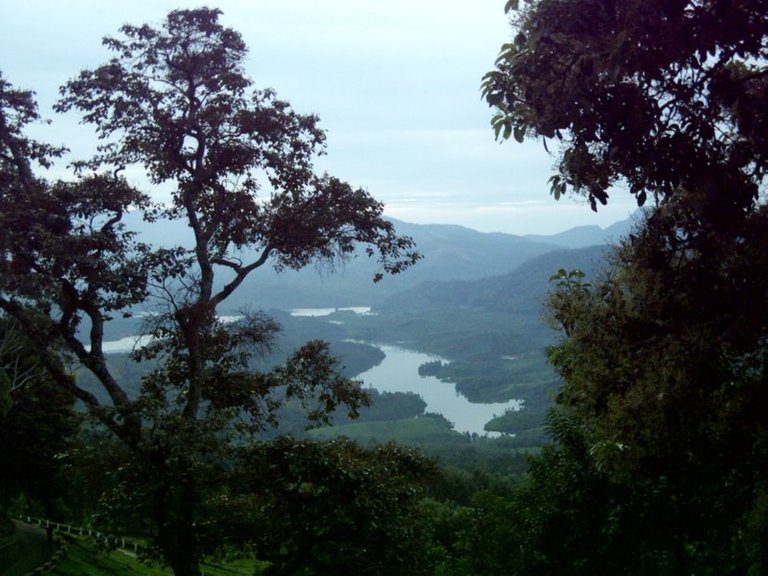 munnar.jpg