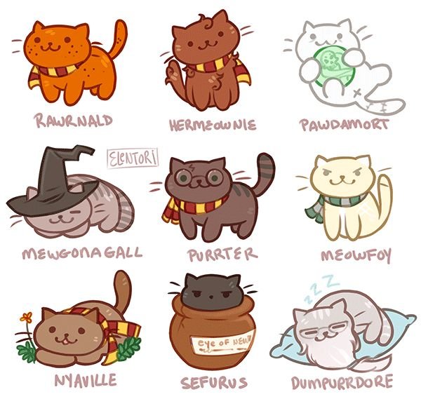 neko atsume harry potter.jpg