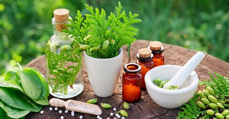 Herbal-Medicine-780x405.jpg