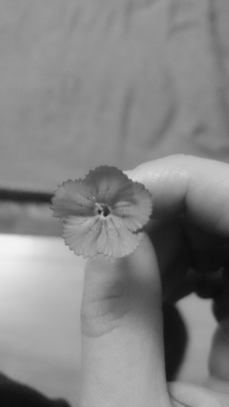 _20180220_020150.JPG