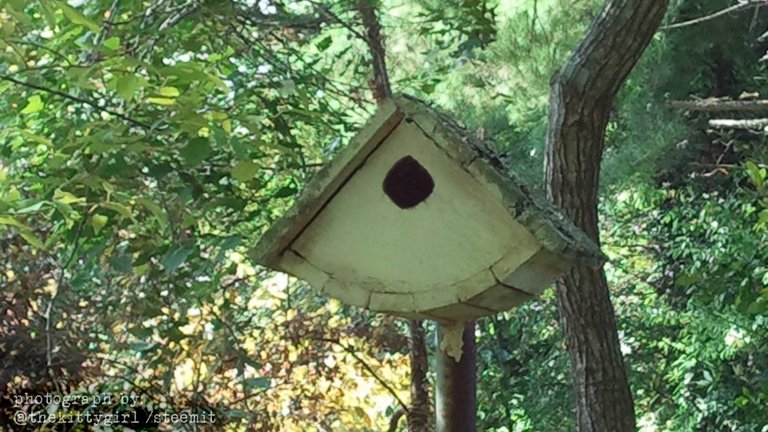 Birdhouse.jpg