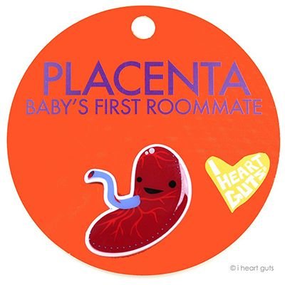 IHG-Pin-Placenta-Front-copyright_1024x1024.jpg