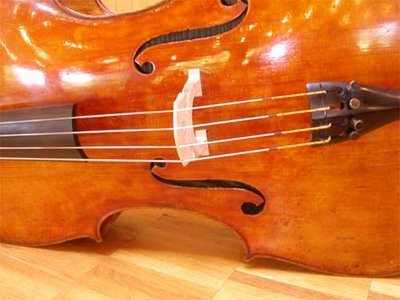 VIOLONCELLO.jpg