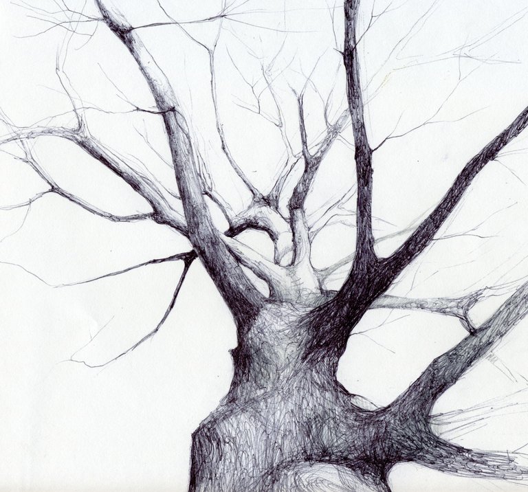 ball point tree.jpg