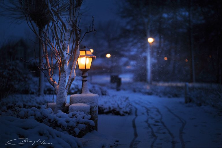 SnowyNight-0463.jpg