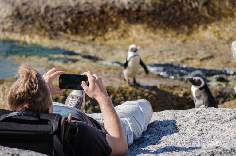 tourist_taking_photo_of_penguins_boulders_Lisa-Burnell-11-1024x678.jpg