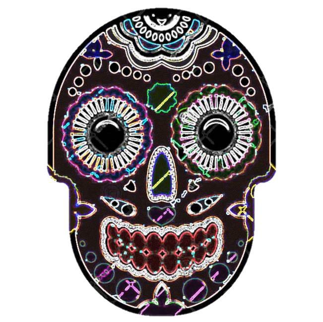 day-dead-sugar-skull-ornament-bright-ornament-thick-outline-white-background-vector-illustration-97235549.jpg