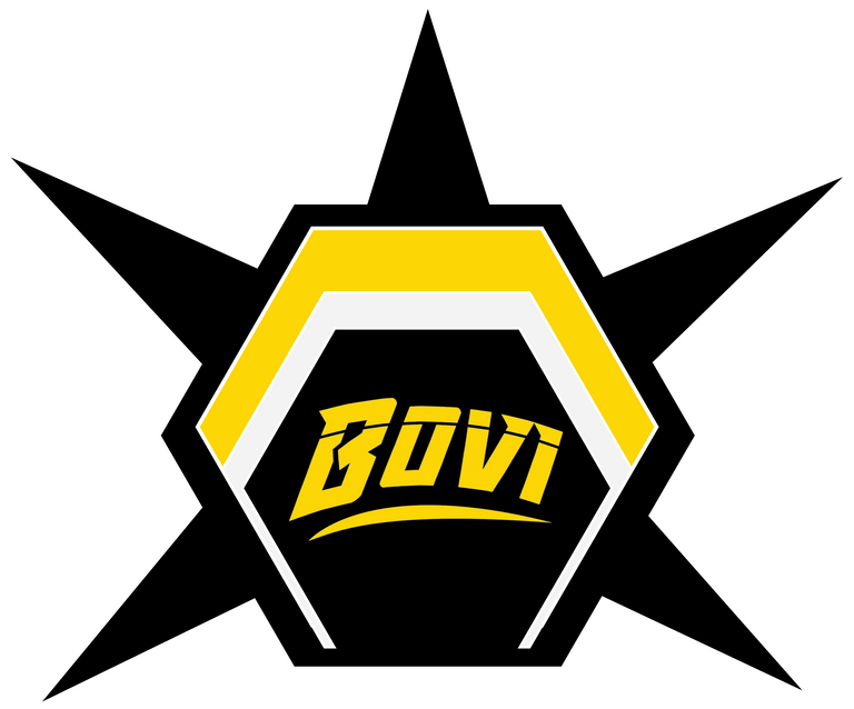 Bovi_Logo_New7-27_1 - Copy.png