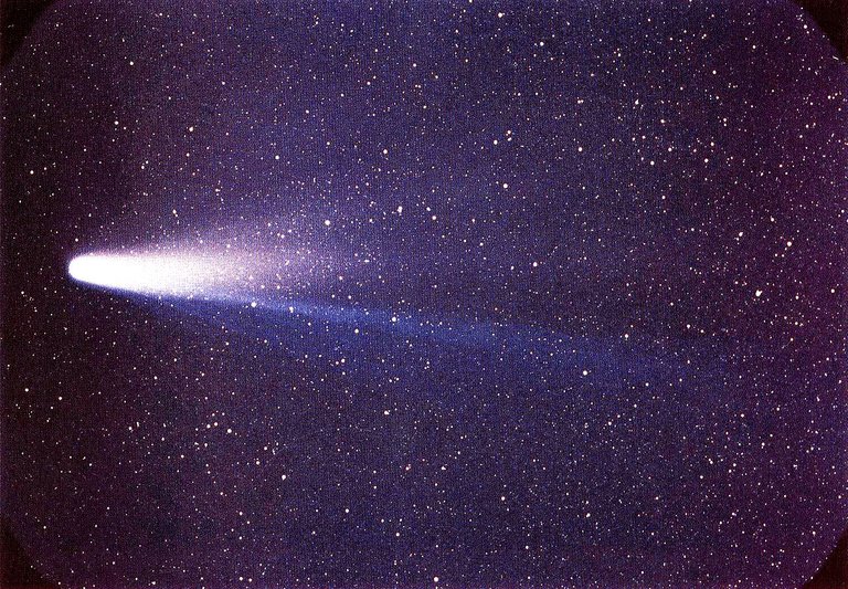 Lspn_comet_halley.jpg