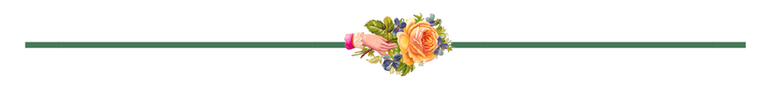 border - rose and hand.png