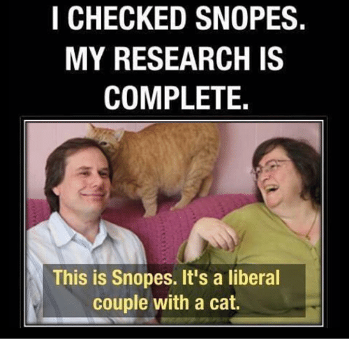 i-checked-snopes-my-research-is-complete-this-is-snopes-3575849.png