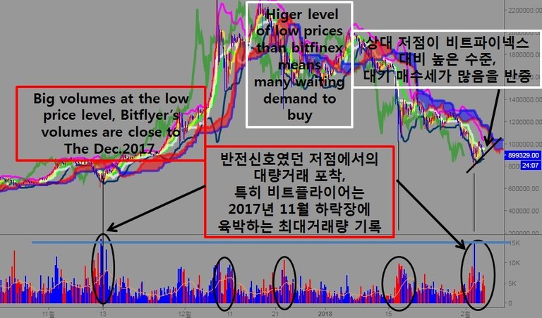 비트플라이어 영어 거래량 특징.jpg