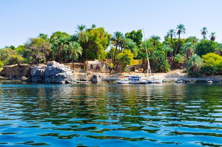 island-nile-kitchener-s-also-known-as-plants-s-popular-tourist-destination-aswan-egypt-48321259.jpg