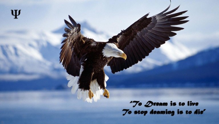 To Dream is to Live.jpg