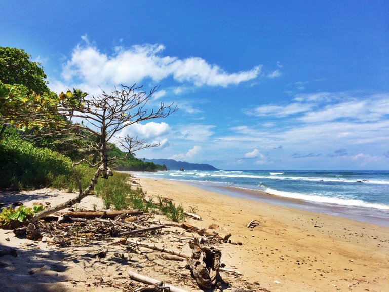 CostaRicaBeach 15.jpg