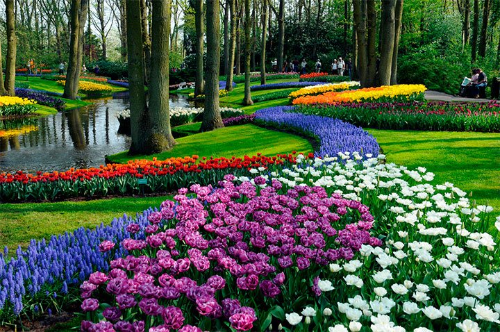 Jardín-Keukenhof.jpg