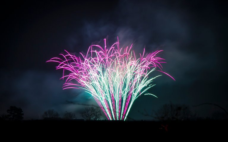 firework2.jpg