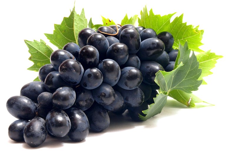 black-grapes-hd-wallpaper.jpg