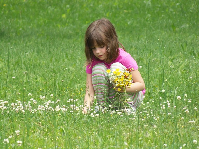 picking-flowers-391610_1920.jpg