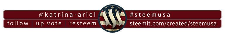 katrina-ariel_redUSA.png