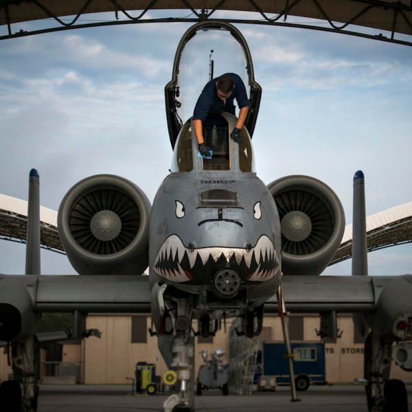 A10-Warthog-600x600.jpg