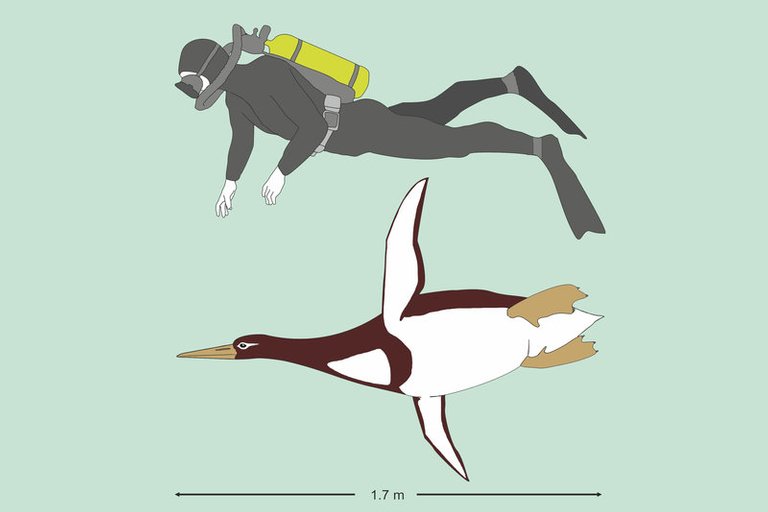 penguin-fig_1_slide-6becc8d6e5d4acd055b7b954c1fba8fc02c81d78-s800-c85.jpg