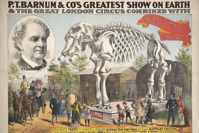 barnum-poster-960x640.jpg