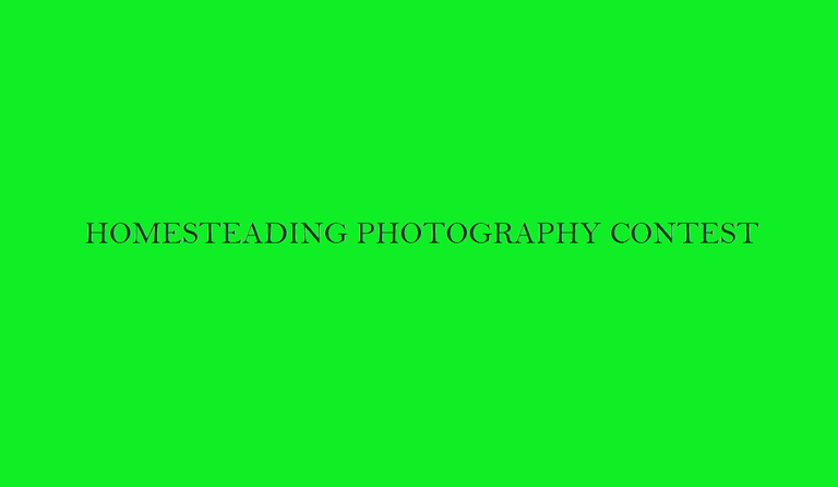 Homesteading Photography Contest.png