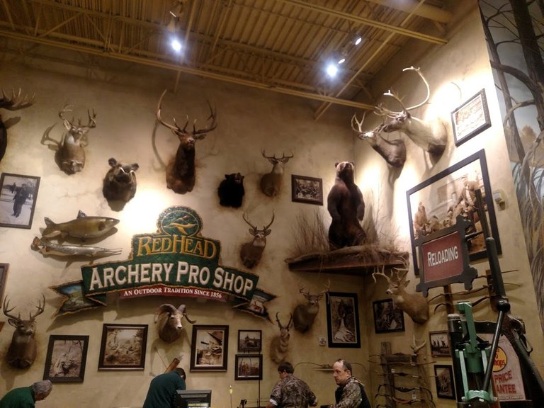 Archery mounts.jpg