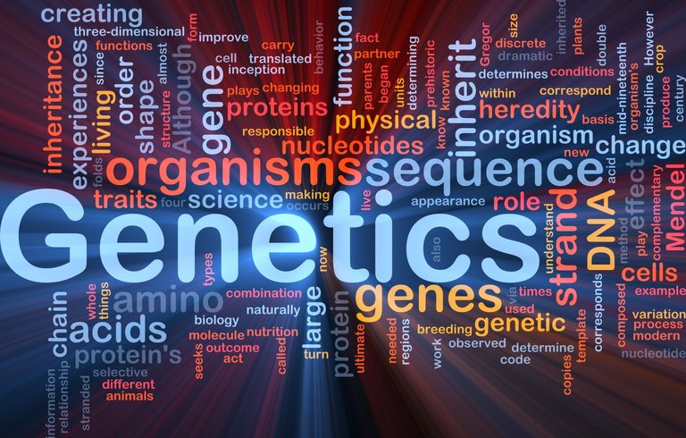 Genetics.jpg