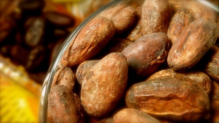 CLOSE UP CACAO BEANS.JPG