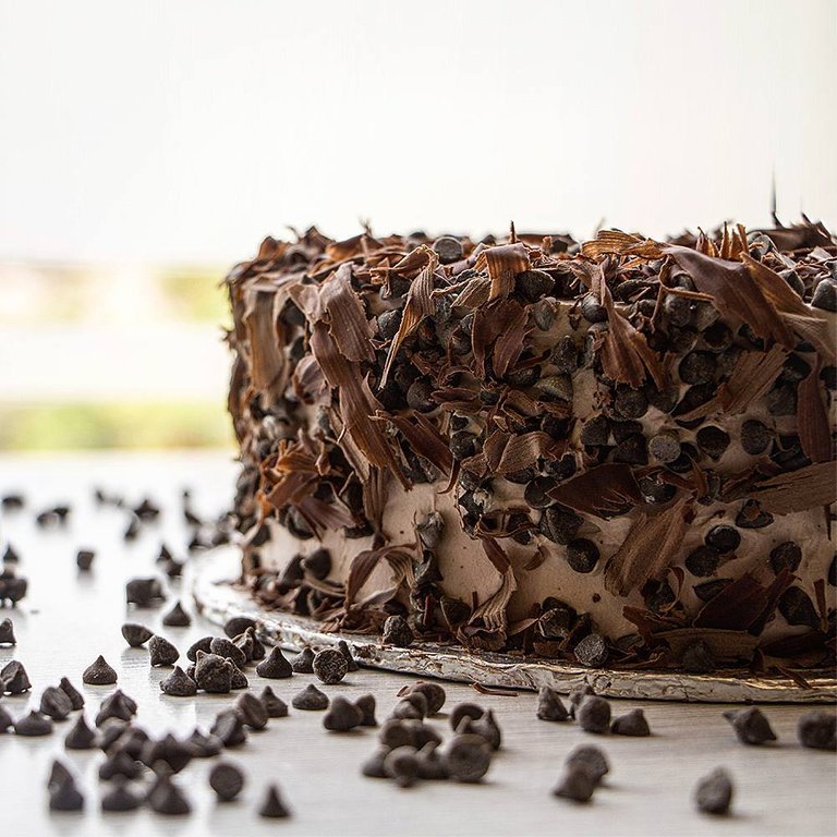 chocolate chip cake.jpg